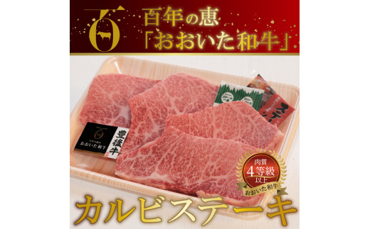 百年の恵 「おおいた和牛」 カルビステーキ約400g