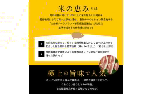 邀ウ縺ョ諱オ縺ソ縲繝ュ繝シ繧ケ繝サ繝偵Ξ繝サ縺ィ繧薙°縺、鬟溘∋蟆ス縺励そ繝繝医邏1.1kg