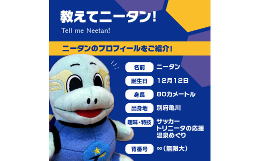 大分トリニータ公式マスコットぬいぐるみ ニータン