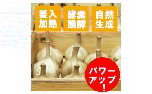 黒にんにく　M玉 50個 （九州/大分産）