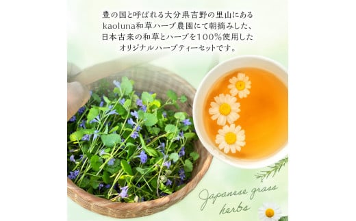 éŠæè¶ã人æ°3çš®é¡ã»ãã