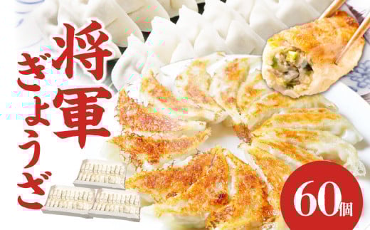 餃子専門店の餃子 将軍餃子 60個