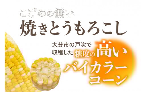 焼きの食感 こげめの無い焼きとうもろこし