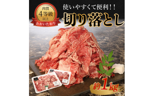 おおいた和牛　切り落とし　約1.0kg