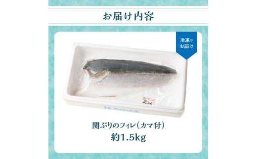 関ぶりのフィレ（カマ付）　約1.5kg