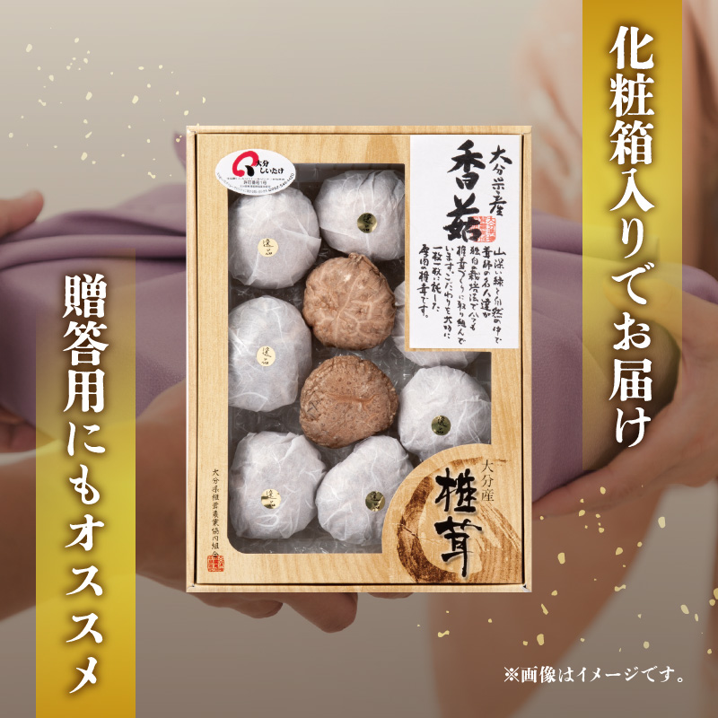 大分県産椎茸　香こ　逸品　IP-A