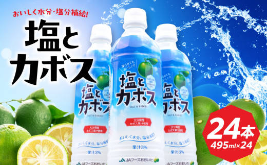 塩とカボス　495ｍｌ×24本