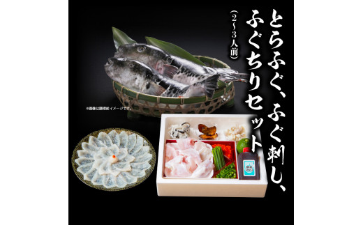 ふく亭　本店　とらふぐ　ふぐ刺し　ふぐちりセット（2〜3人前）