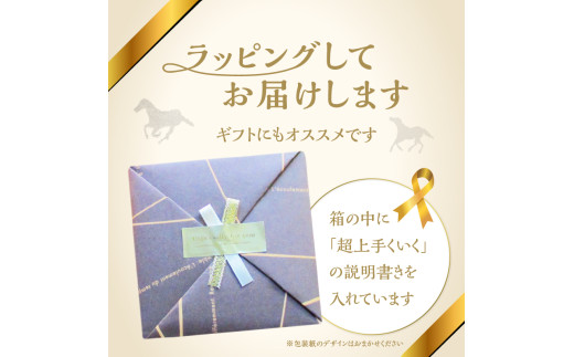 馬九行くぺーパーウェイト（上手くいくぺーパーウェイト）