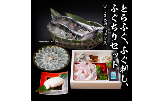 【10月20日以降配送】ふく亭　本店　とらふぐ　ふぐ刺し　ふぐちりセット（2〜3人前　白子付き）