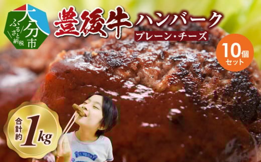 豊後牛ハンバーグ（プレーン・チーズ入り） 合計10個セット（合計約1kg）