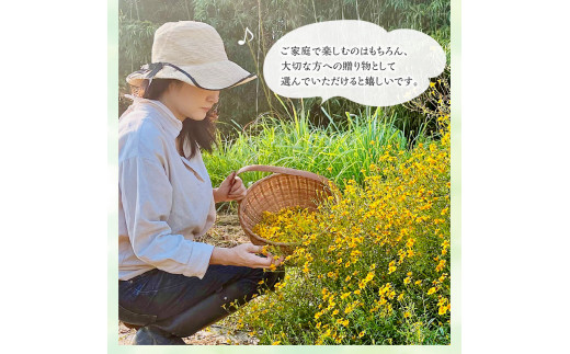 éŠæè¶ã人æ°3çš®é¡ã»ãã