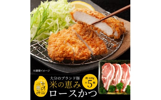 邀ウ縺ョ諱オ縺ソ縲繝ュ繝シ繧ケ縺九▽縲邏120gテ5譫