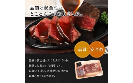 【おおいた和牛】1ポンドステーキ（約454g）