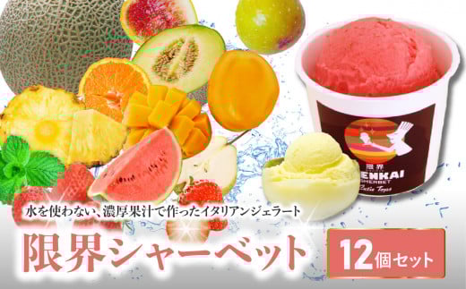 限界シャーベット　12個セット
