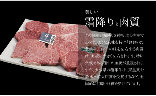 百年の恵 「おおいた和牛」 ステーキセット約800g
