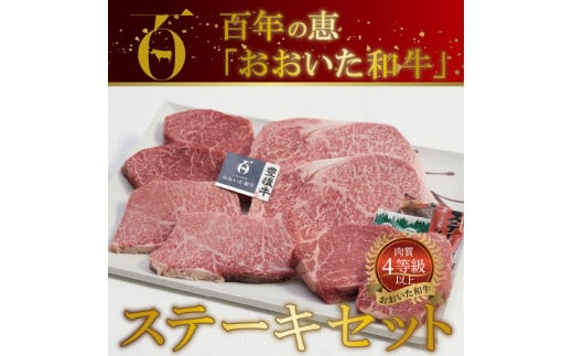 百年の恵 「おおいた和牛」 ステーキセット約800g