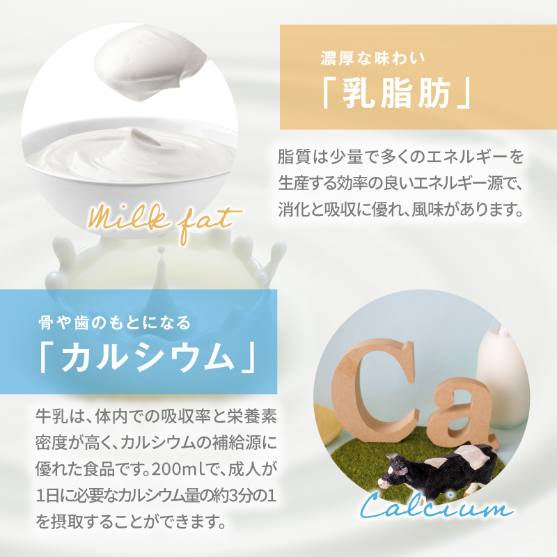 みどり牛乳とみどりコーヒーセット