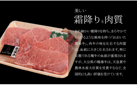 百年の恵 「おおいた和牛」 カルビステーキ約400g