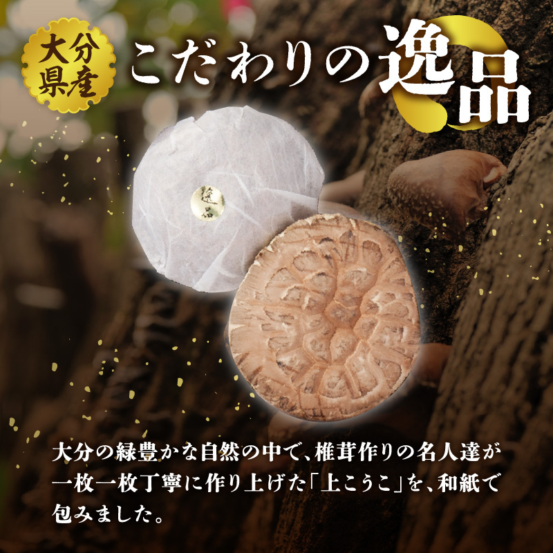 大分県産椎茸 香こ 逸品 IP-B