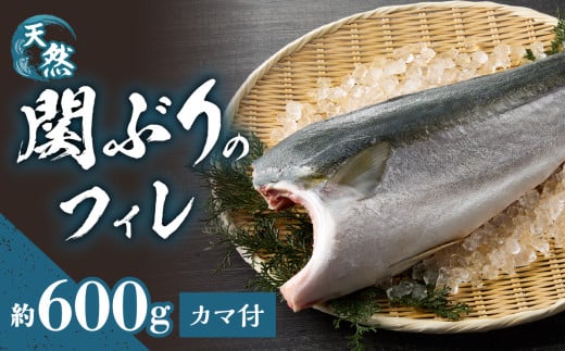 関ぶりのフィレ（カマ付）　約1.5kg