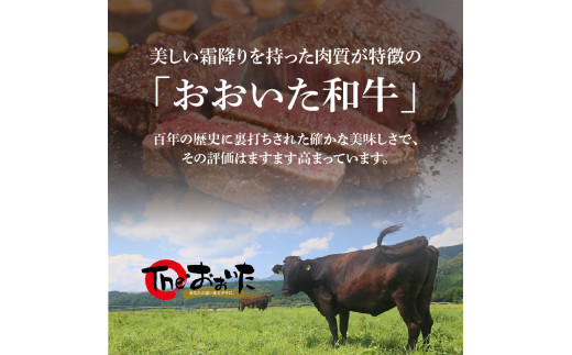 百年の恵み　おおいた和牛A5　すき焼用【厳選部位】約800ｇ