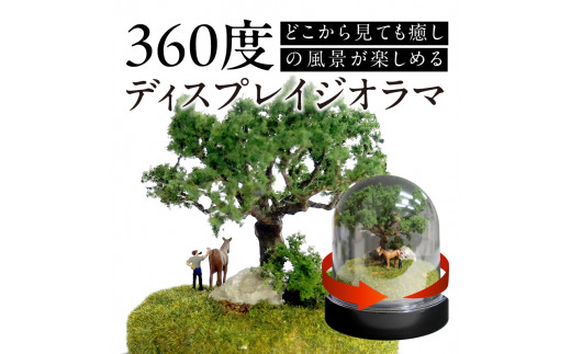 ãã£ã¹ãã¬ã€ãžãªã©ã ãçãã®æ£®âåç©ç·šã