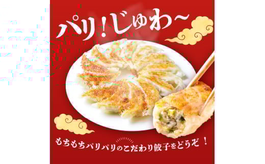 餃子専門店の餃子 将軍餃子 60個