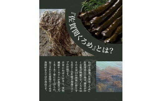 関のくろめ味噌汁 フリーズドライセット（16食入り）