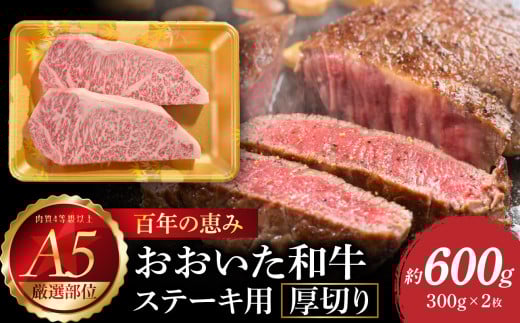 百年の恵み　おおいた和牛A5　ステーキ用厚切り【厳選部位】約600ｇ