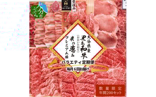 【定期便】大分県産黒毛和牛（おおいた和牛）・米の恵みプレミアム豚 バラエティ定期便 毎月6回お届け