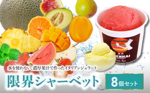 限界シャーベット　8個セット