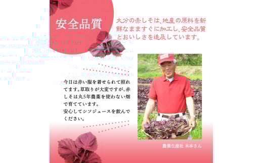 赤しそジュース　無糖タイプ　900ｍｌ×3本