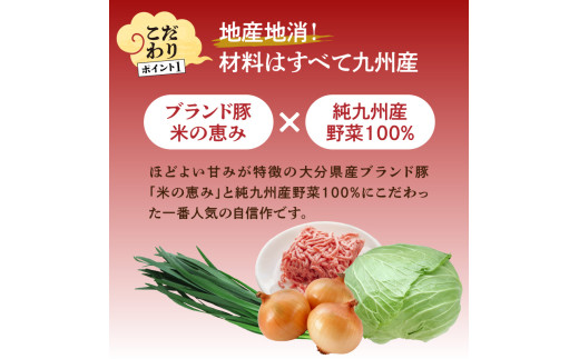 餃子専門店の餃子 将軍餃子 60個