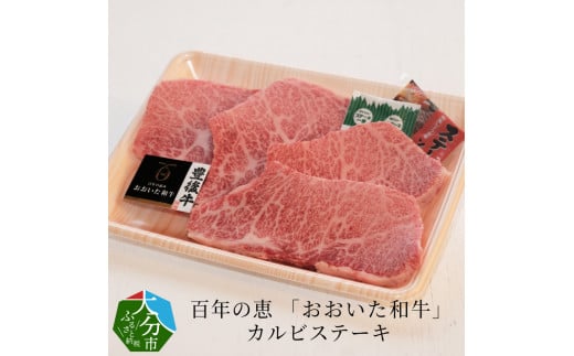 百年の恵 「おおいた和牛」 カルビステーキ約400g