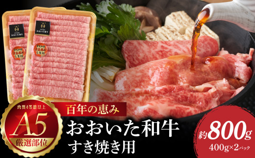 百年の恵み　おおいた和牛A5　すき焼用【厳選部位】約800ｇ