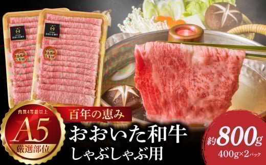 百年の恵み　おおいた和牛A5　しゃぶしゃぶ用【厳選部位】約800ｇ