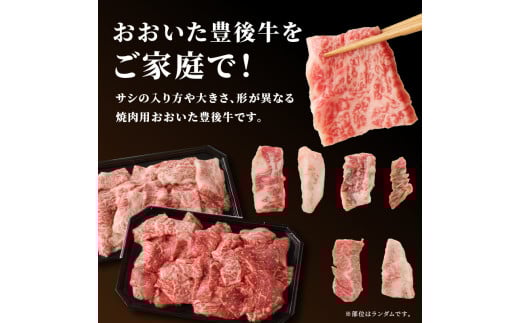 縺翫♀縺縺溯ア雁セ檎央 辟シ閧臥畑 1kg