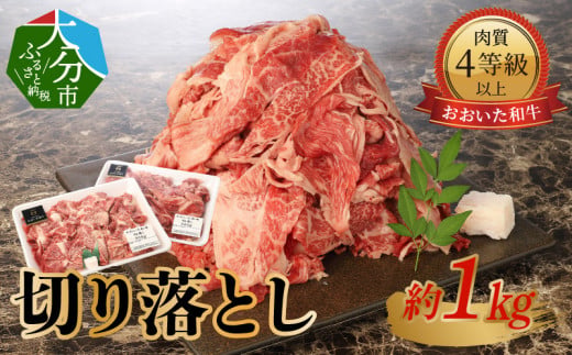 おおいた和牛　切り落とし　約1.0kg