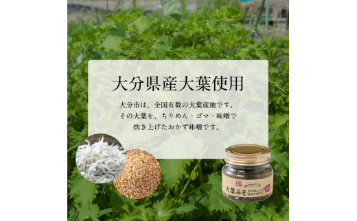 大葉農家のおかず味噌 3個セット