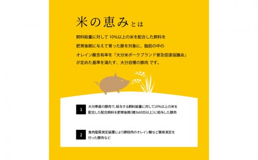 米の恵み　豚バラセット　約1kg