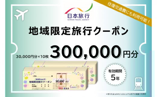 大分県大分市 日本旅行 地域限定旅行クーポン 【300,000円分】
