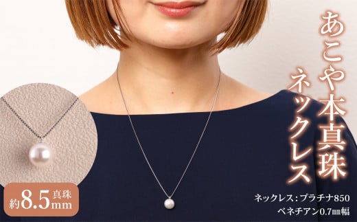 繝励Λ繝√リ850縲縺ゅ%繧譛ャ逵溽匠縲繝代シ繝ォ繝阪ャ繧ッ繝ャ繧ケ縲1迴縲逵溽匠8.5ス搾ス