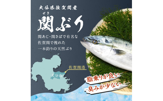 関ぶりのフィレ（カマ付）　約1.5kg