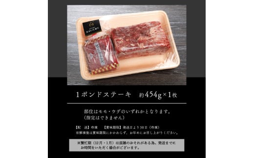 【おおいた和牛】1ポンドステーキ（約454g）