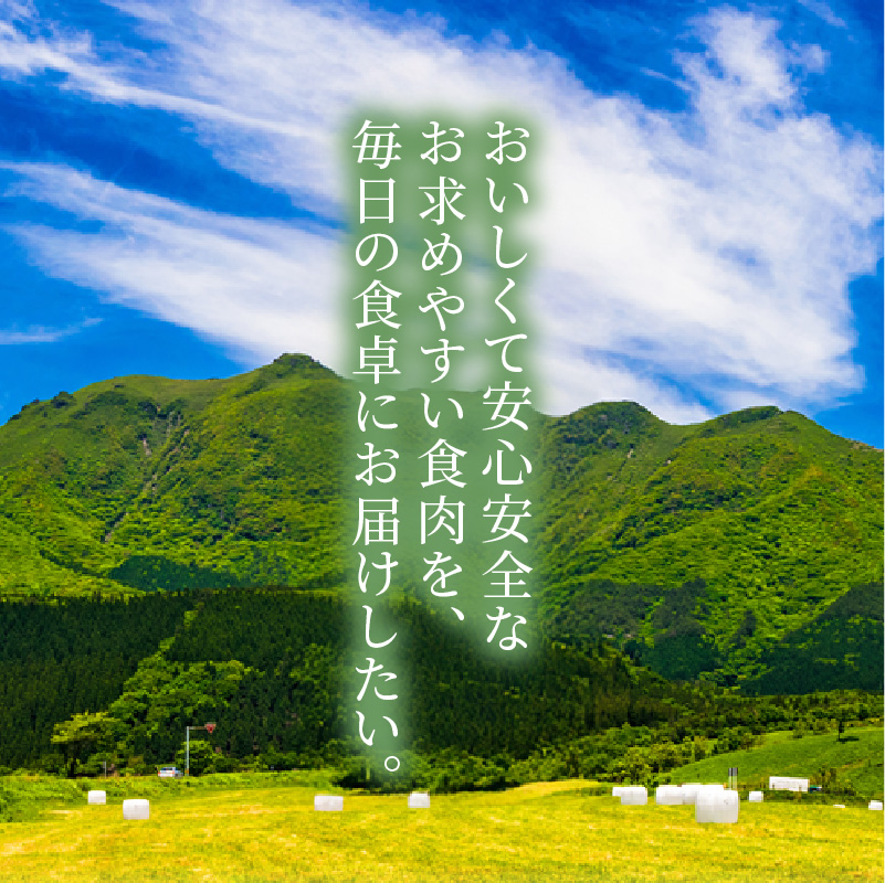 牛肉味付けプルコギ 250g×6パック