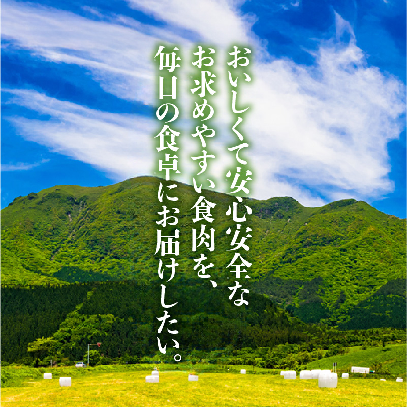牛肉味付けプルコギ 250g×8パック