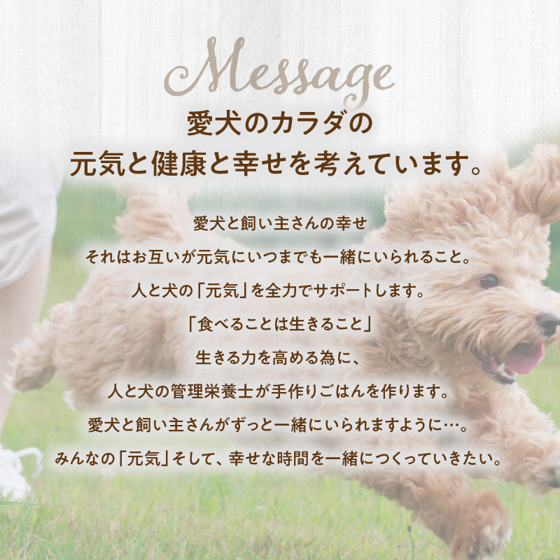 ドッグフード 無添加 水分補給4点セット【犬の手作りごはん】