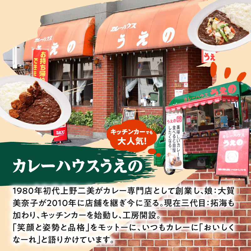 九州クラフト うえの焙煎ビーフカレー レトルト 3袋