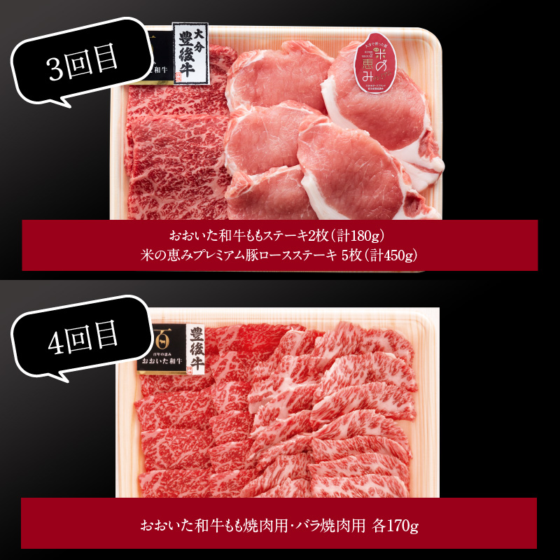 【定期便】大分県産黒毛和牛（おおいた和牛）・米の恵みプレミアム豚 バラエティ定期便 毎月6回お届け